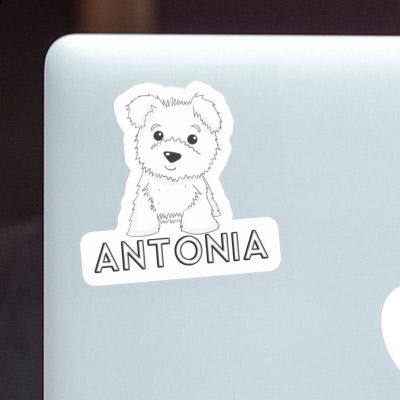 Antonia Aufkleber Terrier Laptop Image