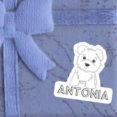 Antonia Autocollant Westie Image