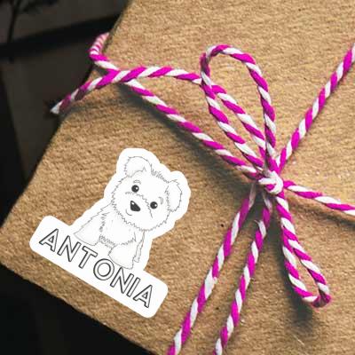 Antonia Aufkleber Terrier Gift package Image