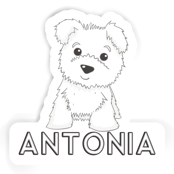 Westie Sticker Antonia Gift package Image