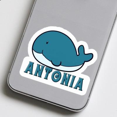 Antonia Sticker Whale Fish Laptop Image