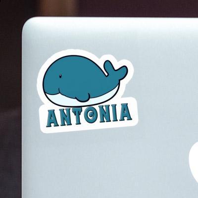 Antonia Sticker Whale Fish Image