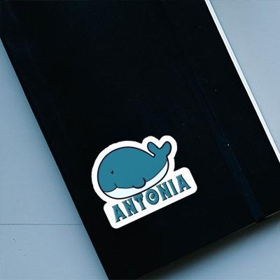 Antonia Sticker Whale Fish Laptop Image