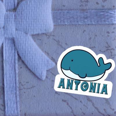 Antonia Autocollant Baleine Laptop Image