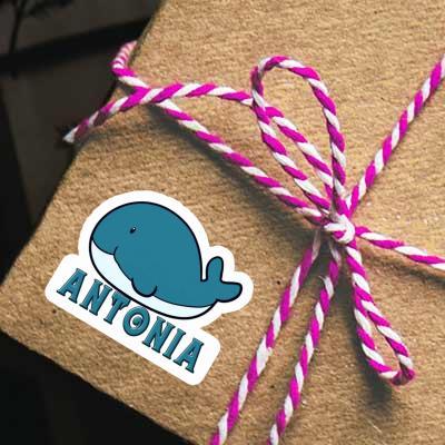 Antonia Sticker Whale Fish Laptop Image