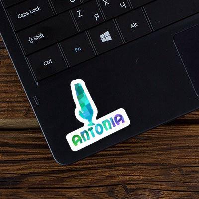 Sticker Antonia Windsurfer Laptop Image