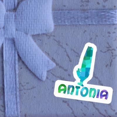 Sticker Antonia Windsurfer Laptop Image