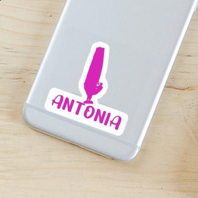 Windsurfer Sticker Antonia Gift package Image