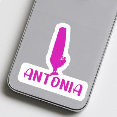 Autocollant Windsurfer Antonia Gift package Image