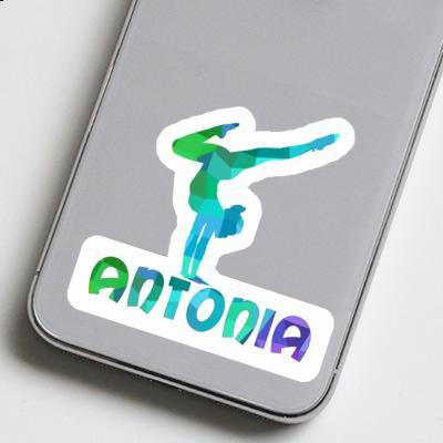 Sticker Yoga-Frau Antonia Laptop Image