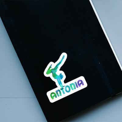 Sticker Yoga-Frau Antonia Notebook Image