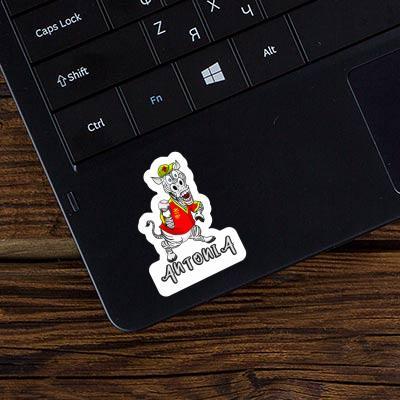 Sticker Antonia Zebra Laptop Image