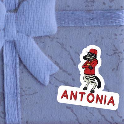 Antonia Sticker Zebra Notebook Image