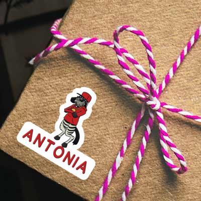 Antonia Sticker Zebra Gift package Image