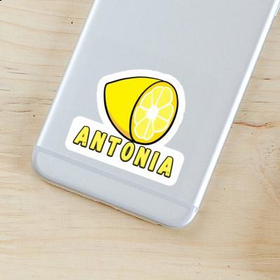 Antonia Autocollant Citron Laptop Image