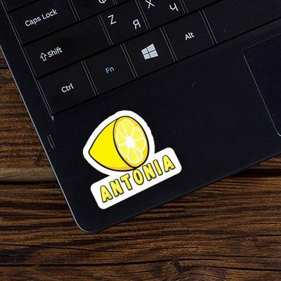 Antonia Autocollant Citron Laptop Image