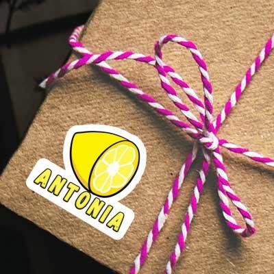 Antonia Autocollant Citron Gift package Image