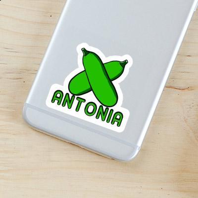 Zucchini Sticker Antonia Image