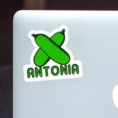 Zucchini Sticker Antonia Laptop Image