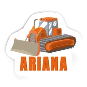 Bagger Sticker Ariana Image