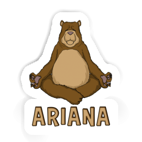 Yogi Autocollant Ariana Image