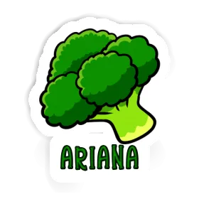 Brokkoli Sticker Ariana Image