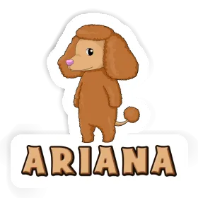 Poodle Sticker Ariana Image