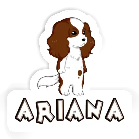 Cavalier King Charles Spaniel Autocollant Ariana Image