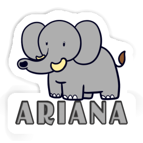 Aufkleber Elefant Ariana Image