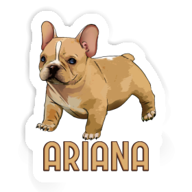 Autocollant Bouledogue Ariana Image