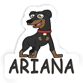 Autocollant Pinscher Ariana Image