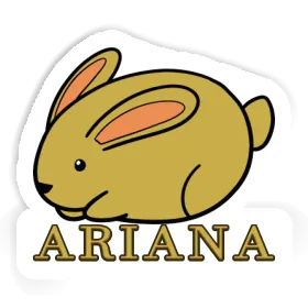 Ariana Sticker Rabbit Image