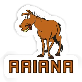 Autocollant Ariana Cheval Image