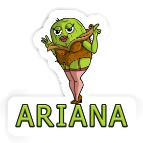 Kiwi Autocollant Ariana Image