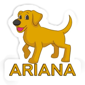 Chien Autocollant Ariana Image