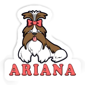Autocollant Shih Tzu Ariana Image