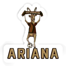 Steinbock Sticker Ariana Image