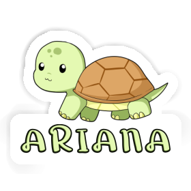 Sticker Turtle Ariana Image