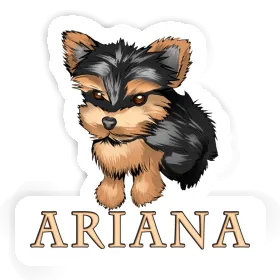 Autocollant Terrier Ariana Image