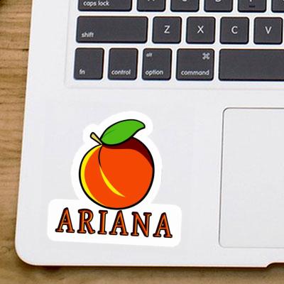 Autocollant Abricot Ariana Notebook Autocollant Abricot Ariana Gift package Image