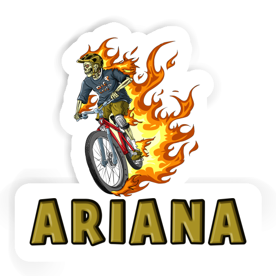 Biker Aufkleber Ariana Gift package Image