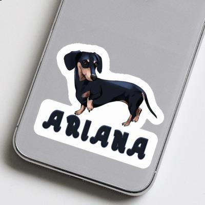 Ariana Sticker Dachshund Notebook Ariana Sticker Dachshund Gift package Image