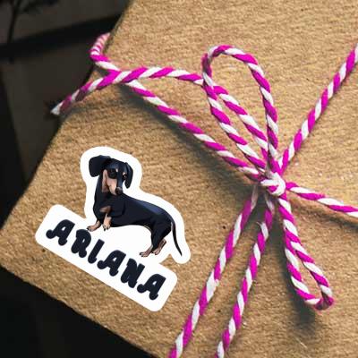 Ariana Sticker Dachshund Ariana Sticker Dachshund Image