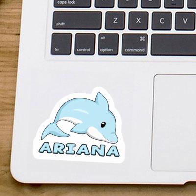 Dolphin Sticker Ariana Image