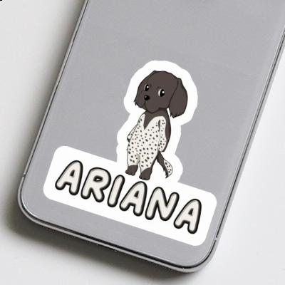 Petit Münsterländer Autocollant Ariana Laptop Image