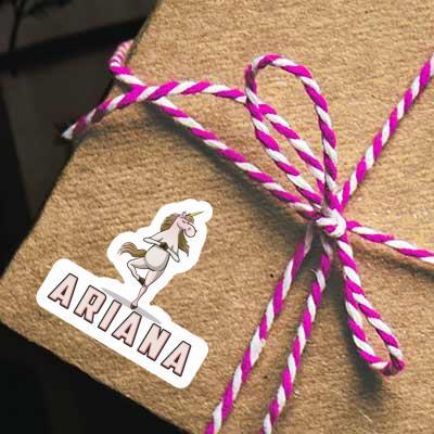 Autocollant Licorne Ariana Gift package Image