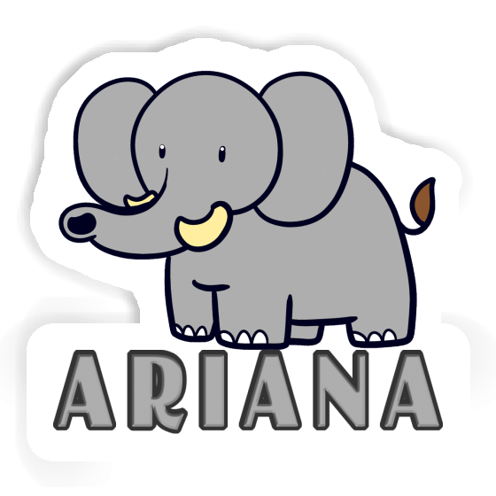 Éléphant Autocollant Ariana Notebook Éléphant Autocollant Ariana Gift package Image