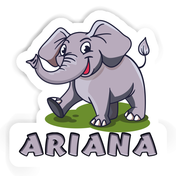 Sticker Ariana Elefant Notebook Sticker Ariana Elefant Gift package Image