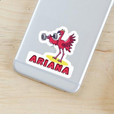 Sticker Weight Lifter Ariana Sticker Weight Lifter Ariana Image
