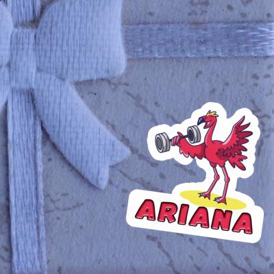 Sticker Weight Lifter Ariana Laptop Sticker Weight Lifter Ariana Laptop Image